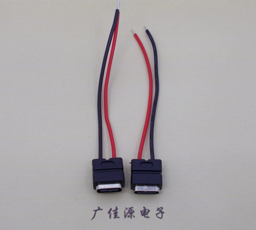 苏州type c2p防水母座焊线式带线注塑成型带接线端子/不带接线端子充电连接器